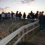 Cambria_0237 (November 04, 2017)